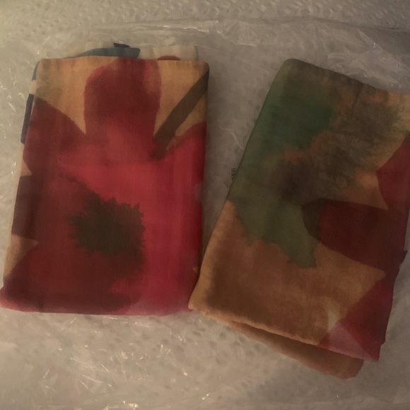 Shams - Picture 5 of 9